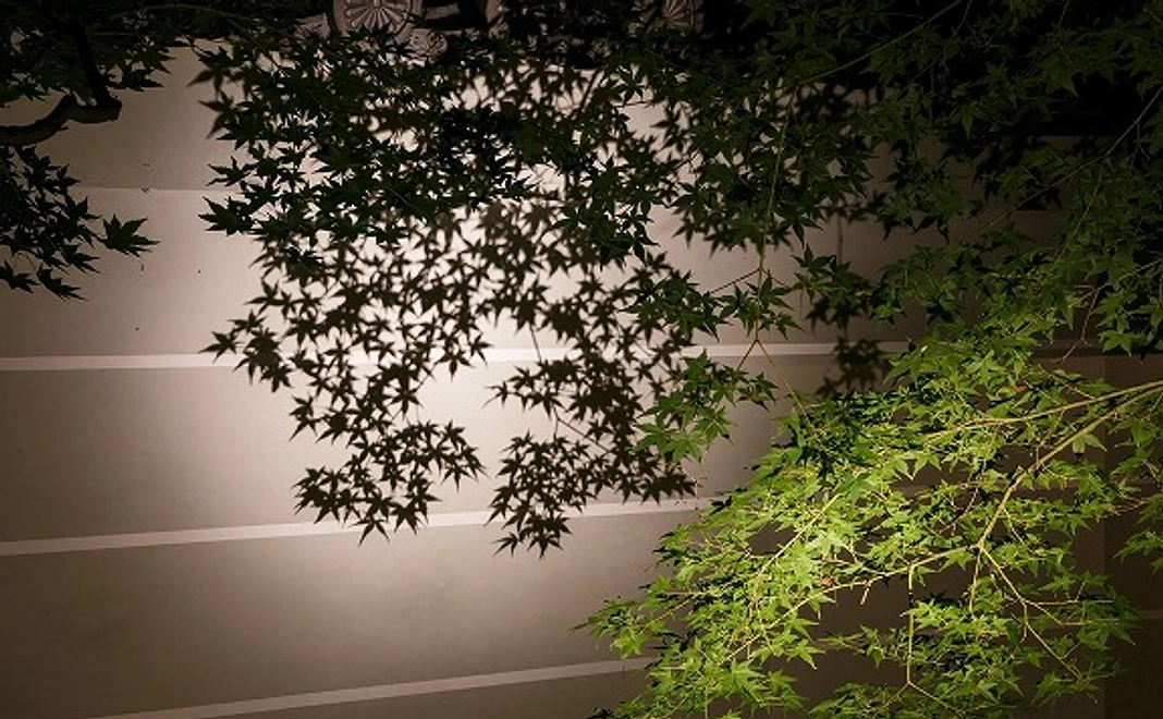 ライトアップ鑑賞と喫茶の券　5/3参加分