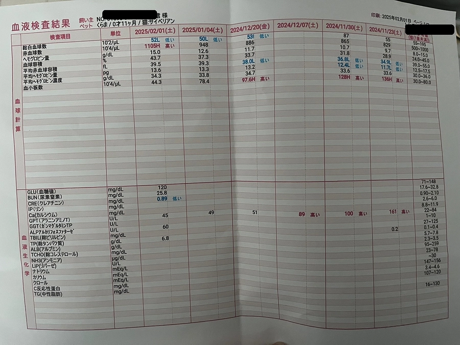 投薬84日目となりました！