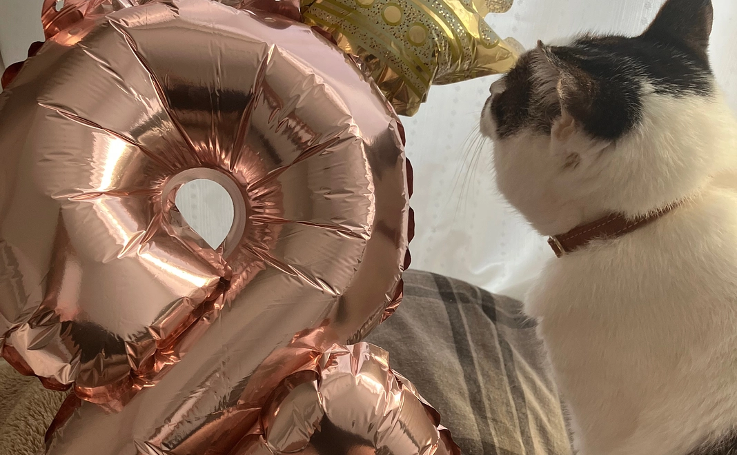 感謝のメール ２