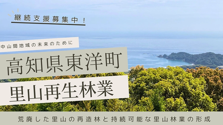 林業の未来が中山間地域の未来!東洋町から100年続く林業をつくる
