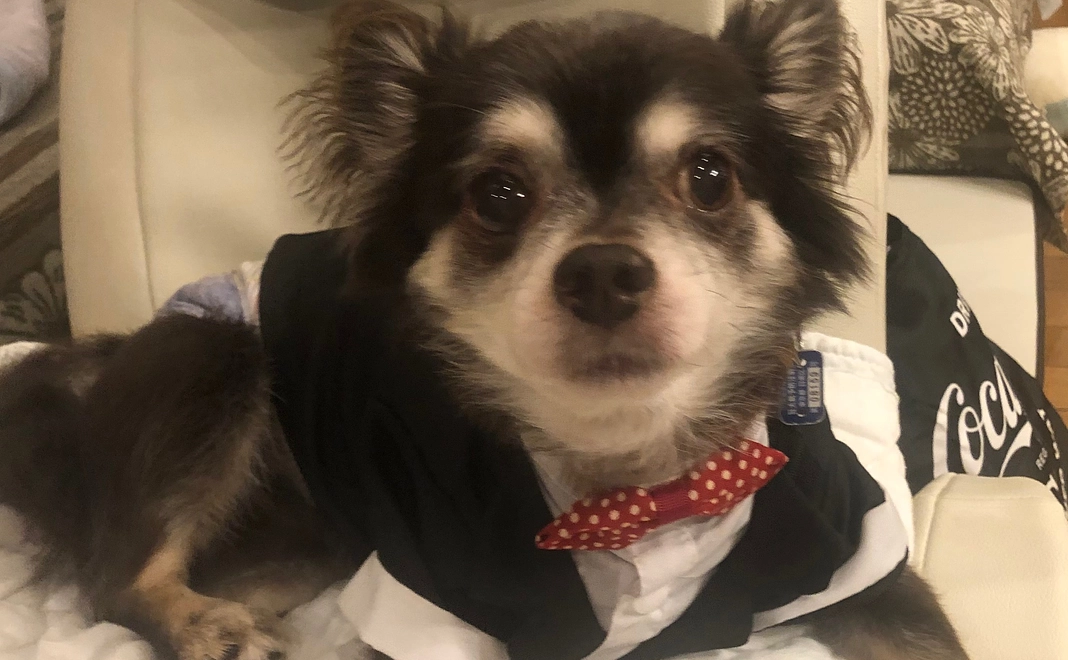 （2）感謝のメールと活動報告