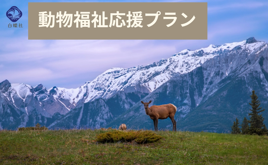 動物福祉応援コース（3,000円）