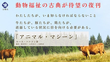 【ご支援賜りました皆様】プロジェクト中止のお詫びを申し上げます。