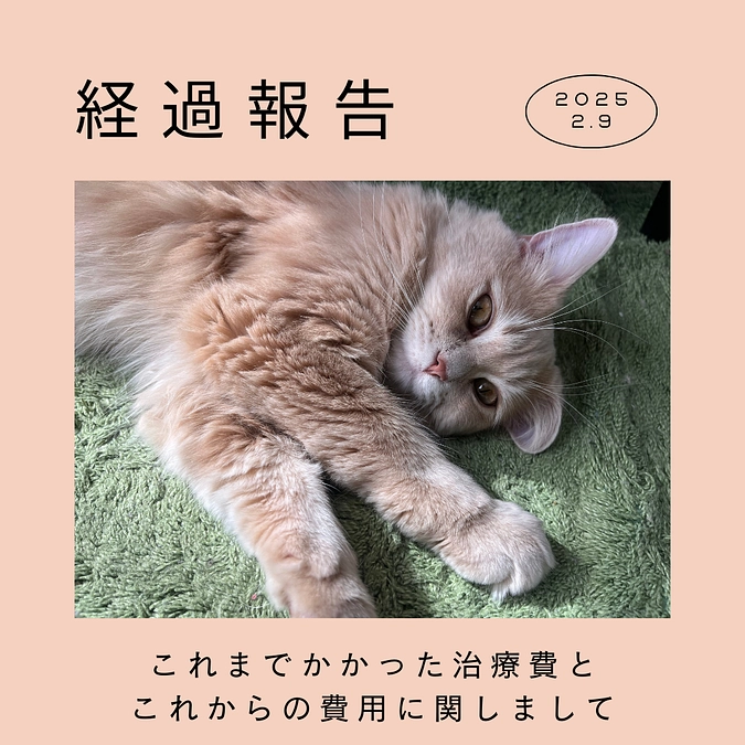 これまでの治療費とこれからかかる治療費に関しまして