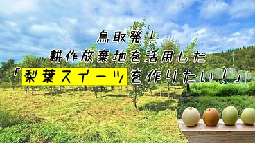 鳥取発！耕作放棄地を活用 した「梨葉スイーツ」を作りたい！  のトップ画像