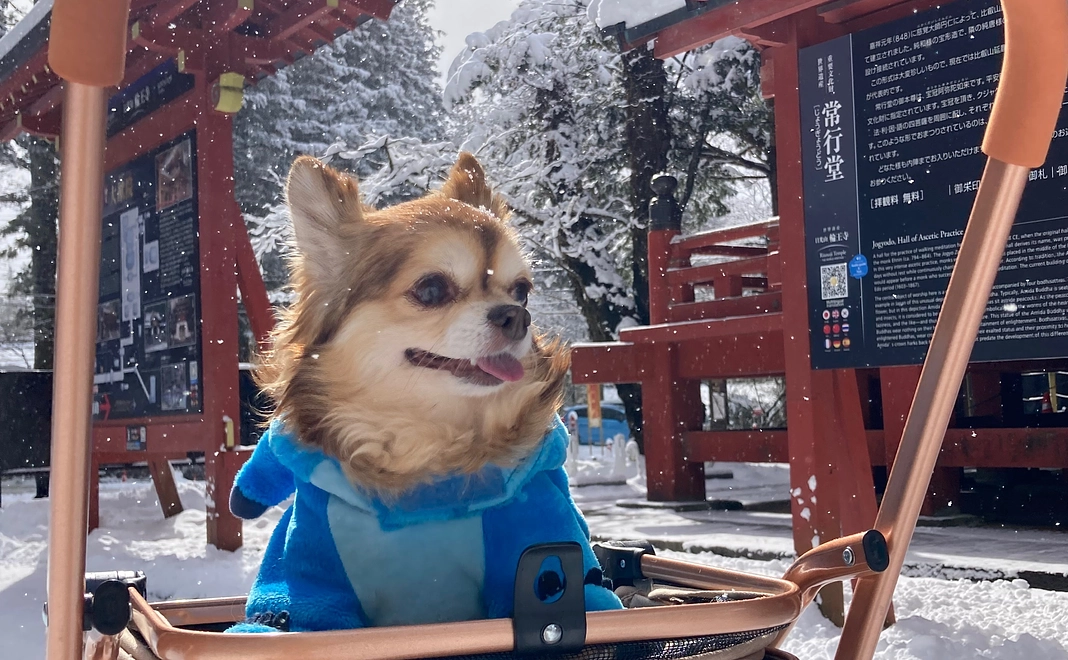 感謝のメール500円コース