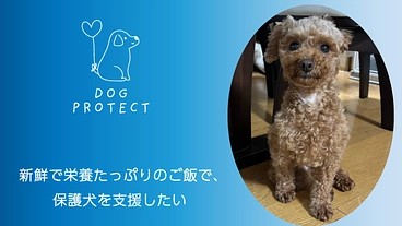 新鮮で栄養たっぷりのご飯で、保護犬を支援したい のトップ画像