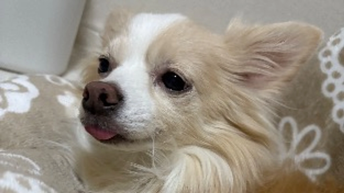 本当にありがとうございました🌟