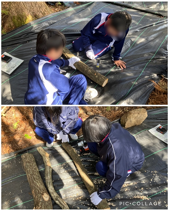 2/13(木)ひなむぎ工房の森林学習