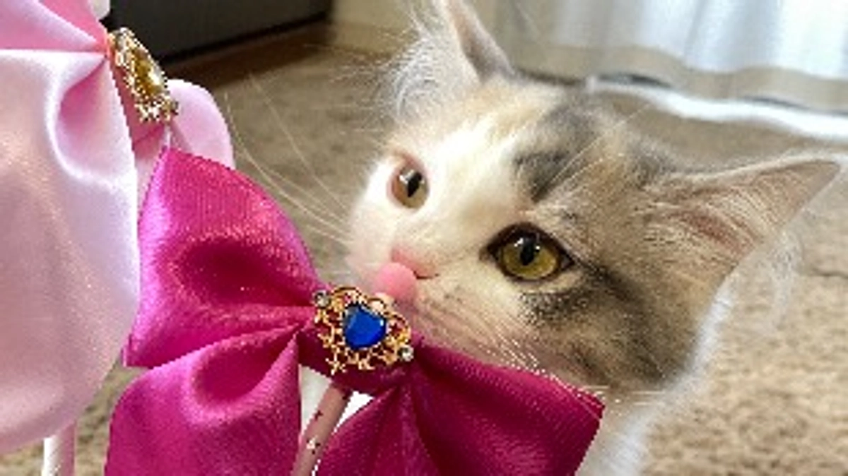 投薬治療延長について