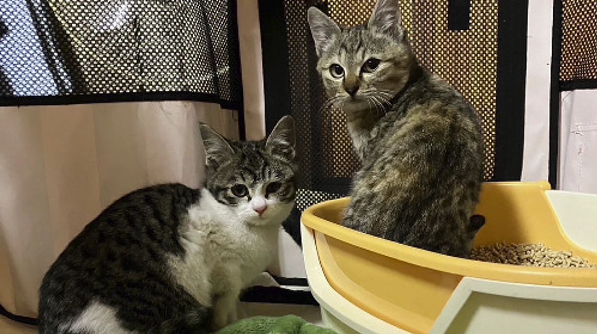 令和7年2月の中間報告！