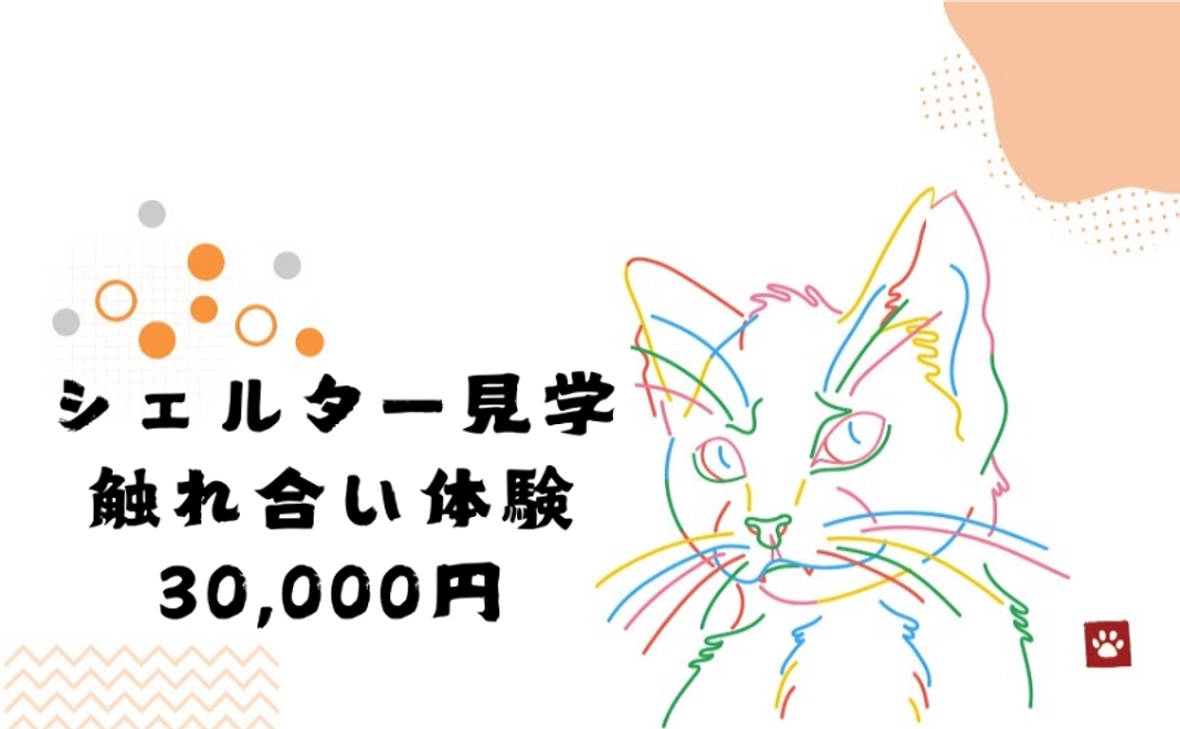 シェルター見学&触れ合い体験｜30,000円