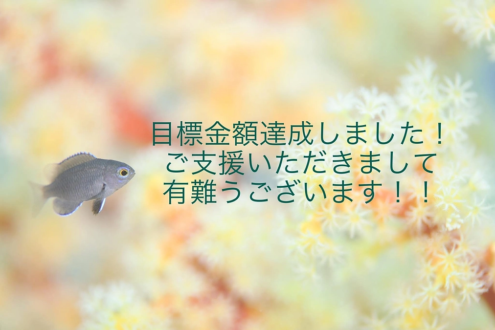 クラウドファウンディング１日目★目標達成しました！