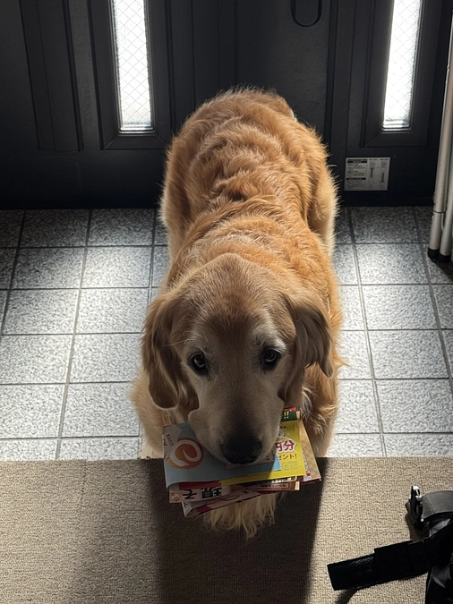 本日より掲載させていただきます