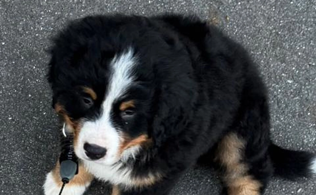 感謝のメール&活動報告(1)