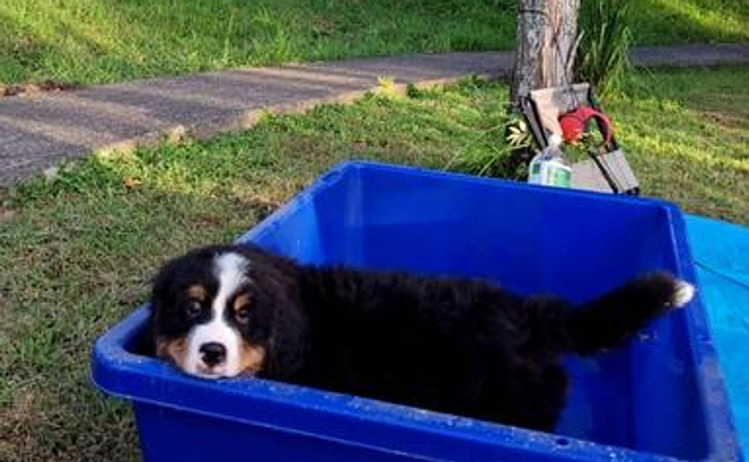 感謝のメール&活動報告(2)