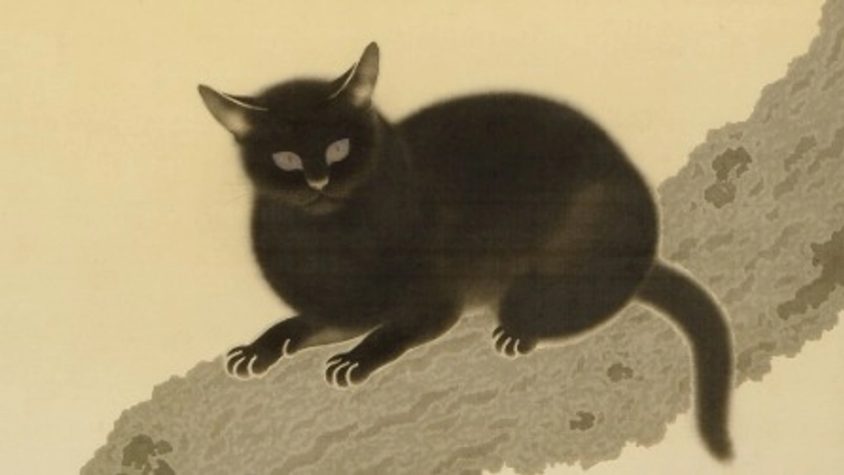 いよいよ今年、「黒き猫」公開！