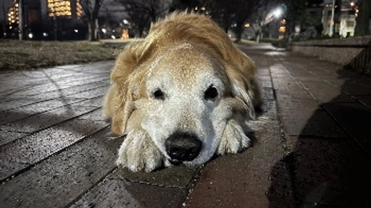 ご支援いただいた皆様へ