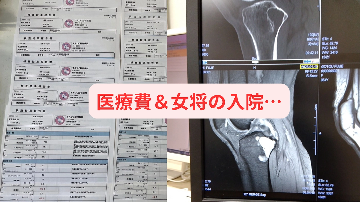 色々大変です💦