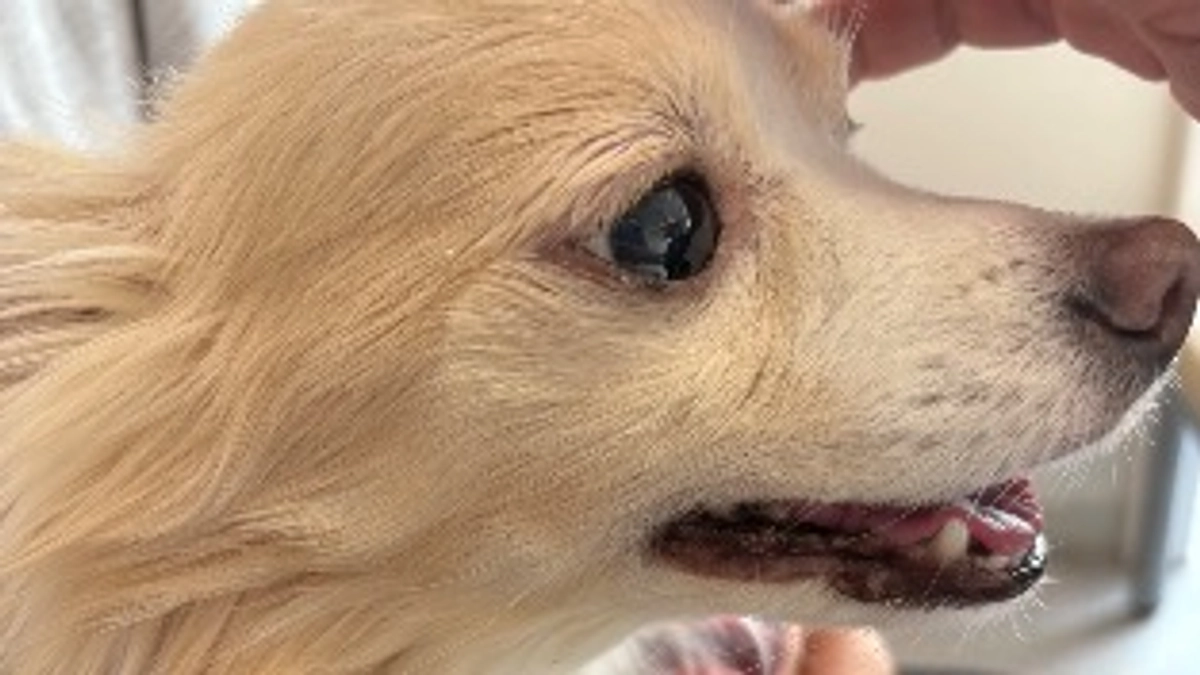 面会に行ってきました🌟