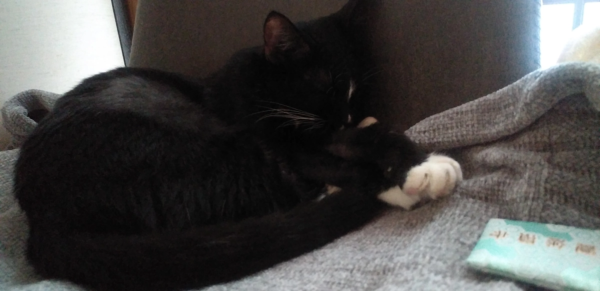 10/13はなちゃんの様子