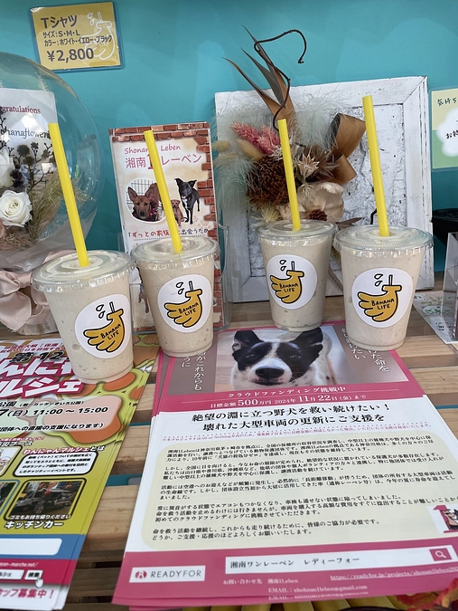 協力店舗紹介　バナナライフ湘南さむかわ店さま