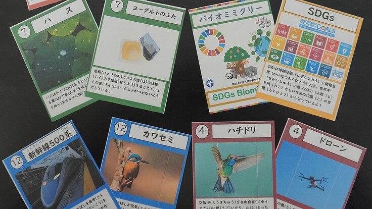 小学生にSDGsを楽しく学べるカード教材を提供したい!