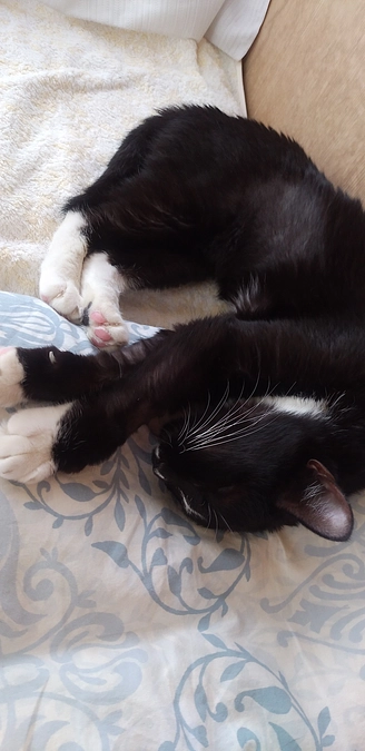 10/15はなちゃんの様子