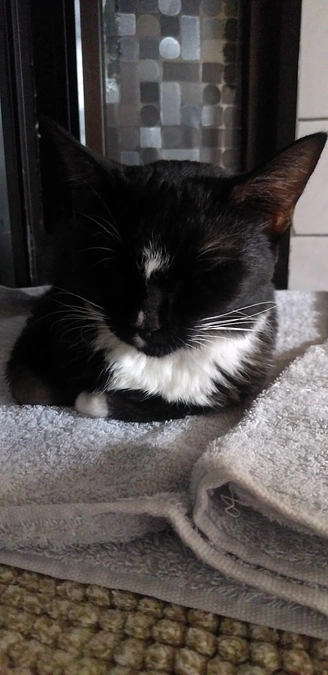 10/16はなちゃんの様子