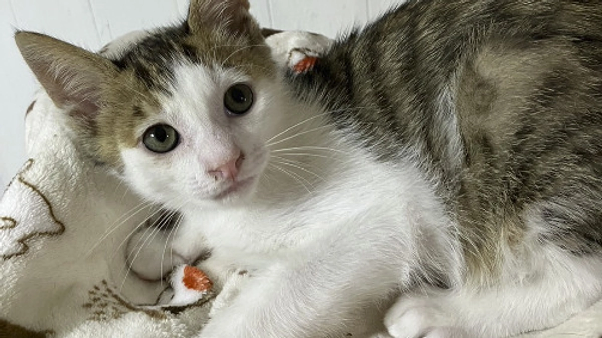 10月の中間報告！