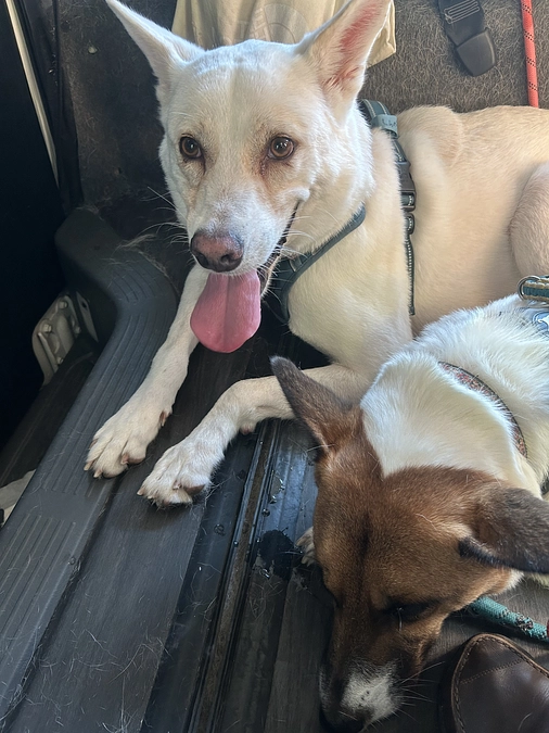 レーベン号に積まれる荷物たち