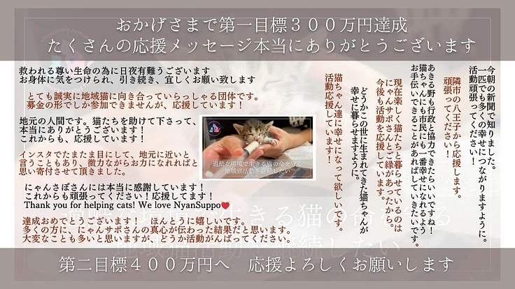 助成金のない東京都あきる野市で地域猫活動を諦めたくない 8枚目