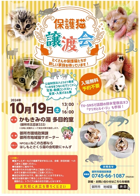🐱御所市役所主催の初譲渡会🐱　明日１９日（土）