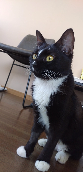 10/18はなちゃんの様子