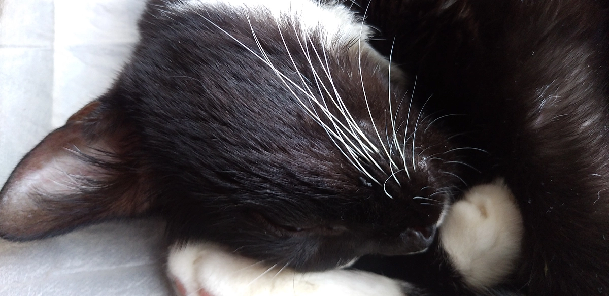 10/19はなちゃんの様子