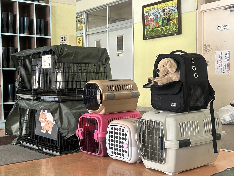 災害は覚えていてもいつか来る。同行避難について