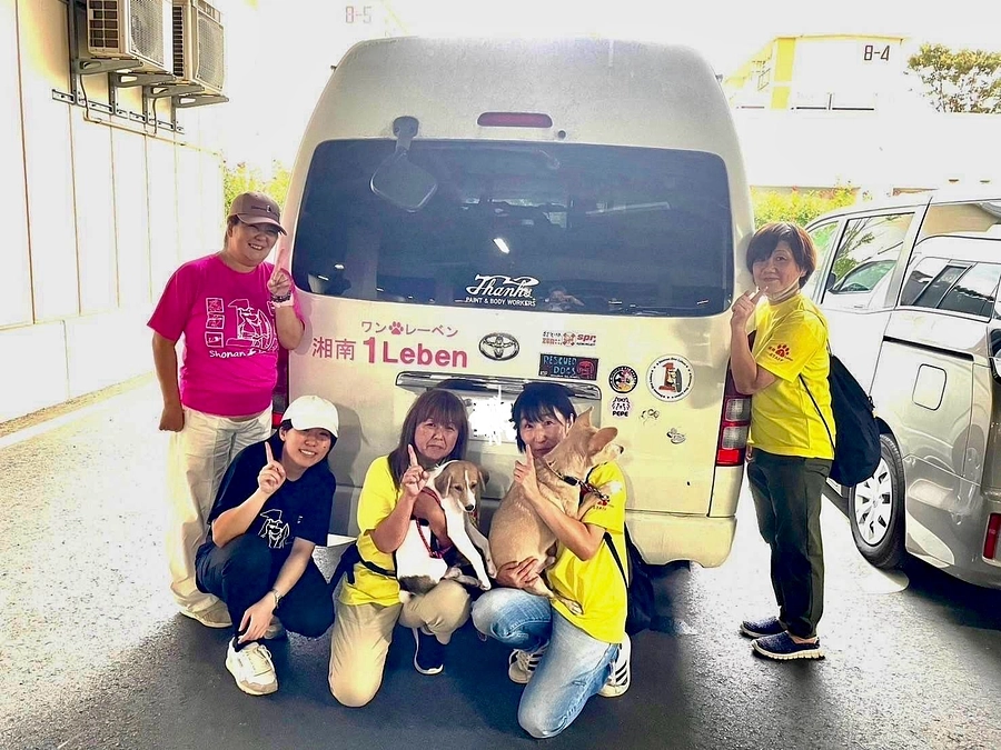 大型車両運転の不安　違和感は長いことありました。