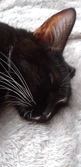 10/21はなちゃんの様子