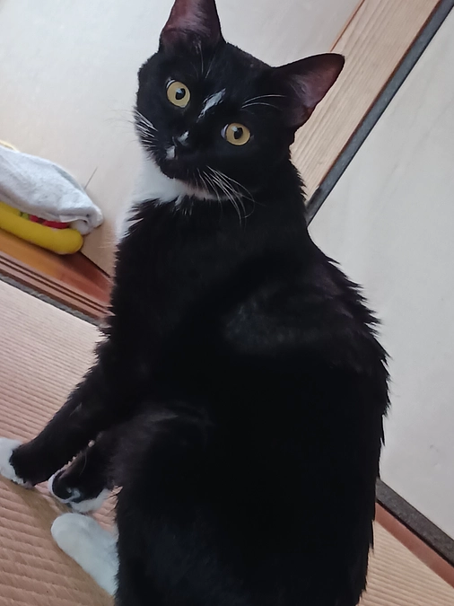 10/22はなちゃんの様子