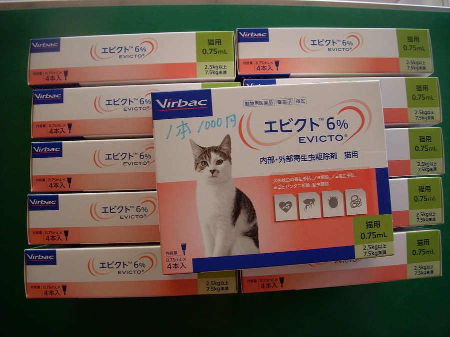 エビクト　追加で仕入れました