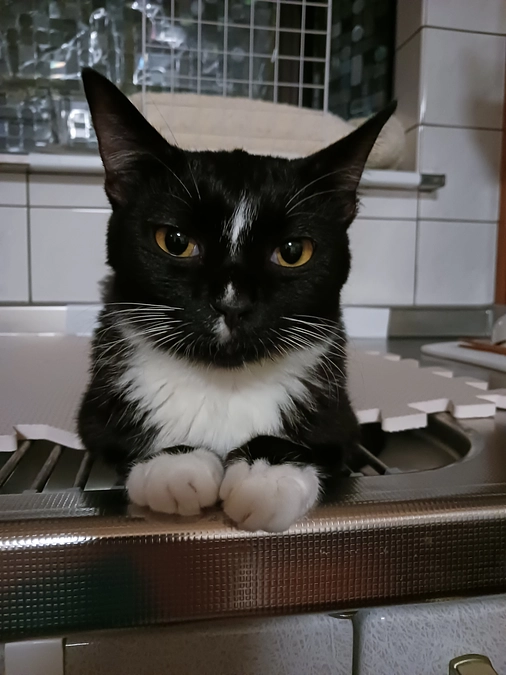 10/23はなちゃんの様子