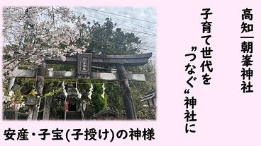 高知 朝峯神社 | 子育て世代の交流の場をつくりたい のトップ画像