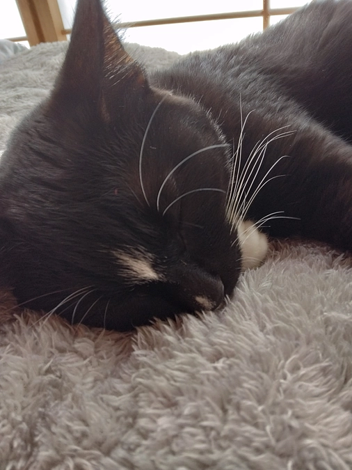 10/24はなちゃんの様子