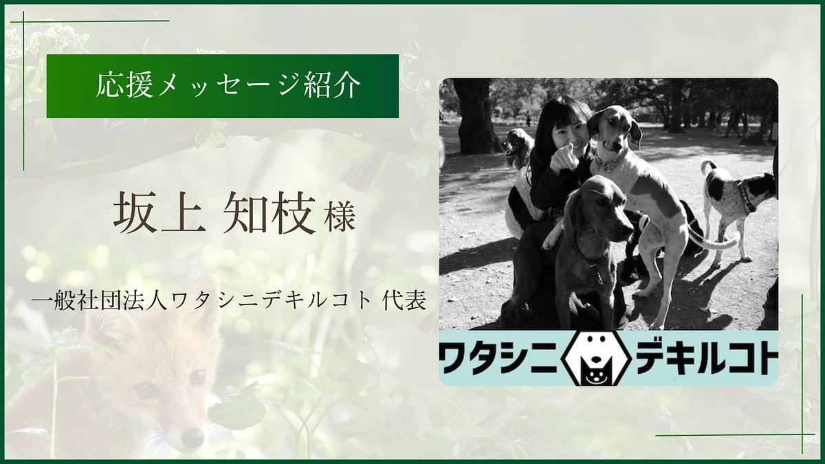 お寄せいただいた応援のメッセージ（一般社団法人ワタシニデキルコト 代表 坂上知枝様）