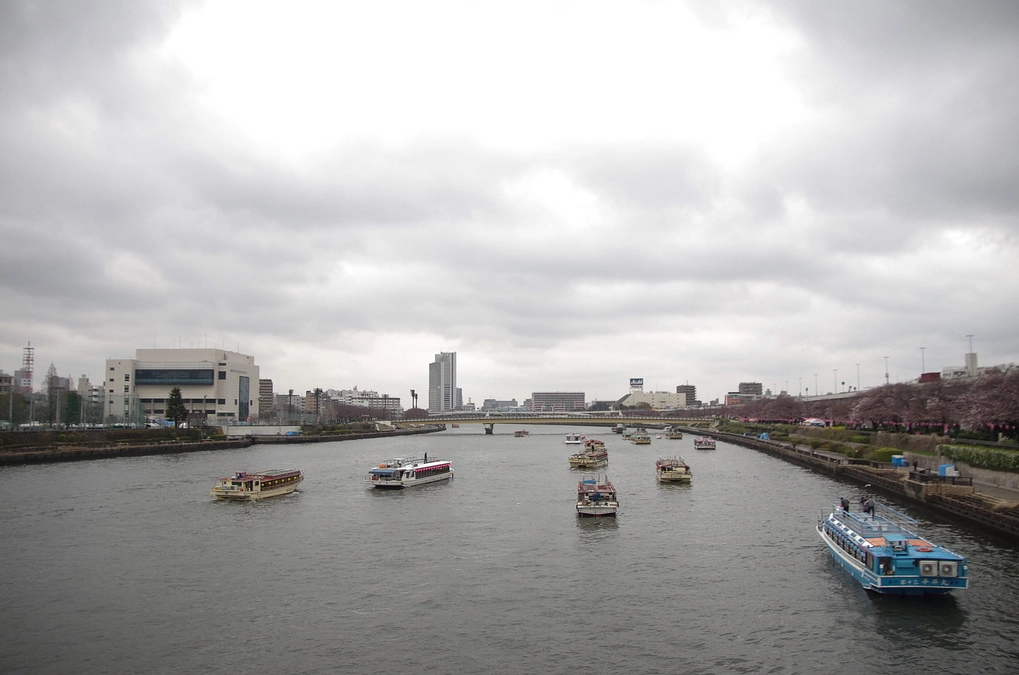 クラファン中間報告のお礼＆葬送支援の現場からの声#1「叶えられなかったKさんの葬送の希望」