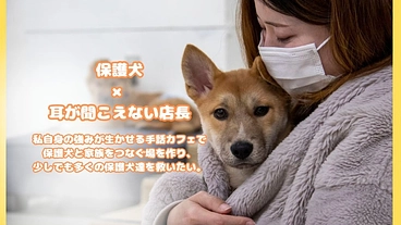 手話カフェ×保護犬と家族を繋ぐ場を！ のトップ画像