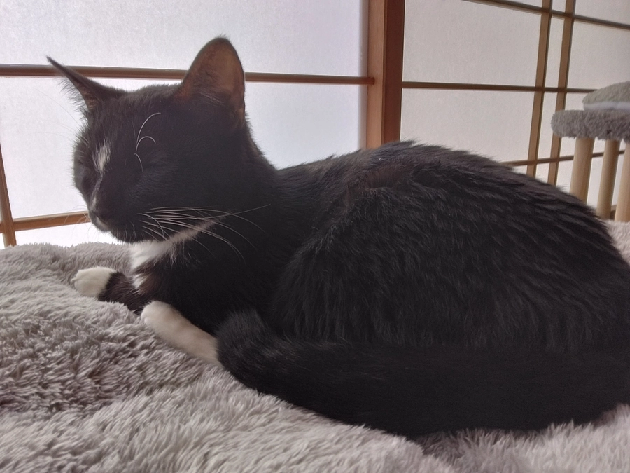 10/26はなちゃんの様子