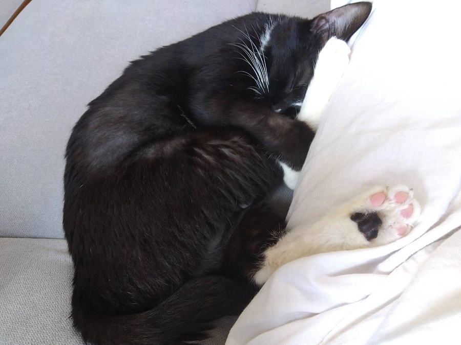 10/27はなちゃんの様子