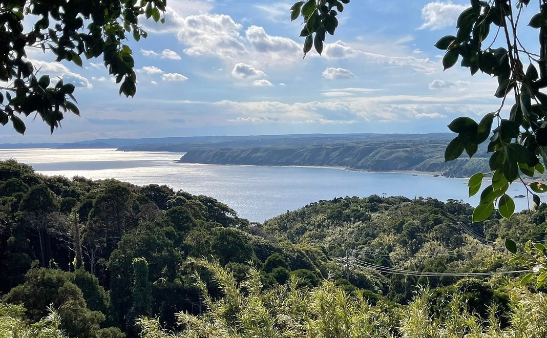 【全力応援】5000円