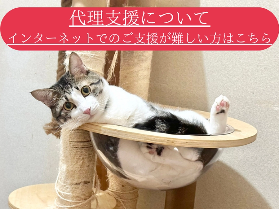 代理支援について